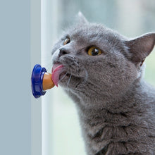 Load image into Gallery viewer, Healthy Nutritional Catnip Cat Snack For That Favourite Time Of The Day