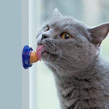 Load image into Gallery viewer, Healthy Nutritional Catnip Cat Snack For That Favourite Time Of The Day