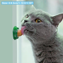 Load image into Gallery viewer, Healthy Nutritional Catnip Cat Snack For That Favourite Time Of The Day