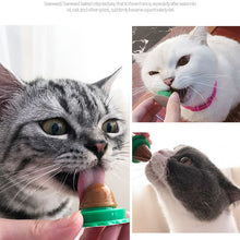 Load image into Gallery viewer, Healthy Nutritional Catnip Cat Snack For That Favourite Time Of The Day
